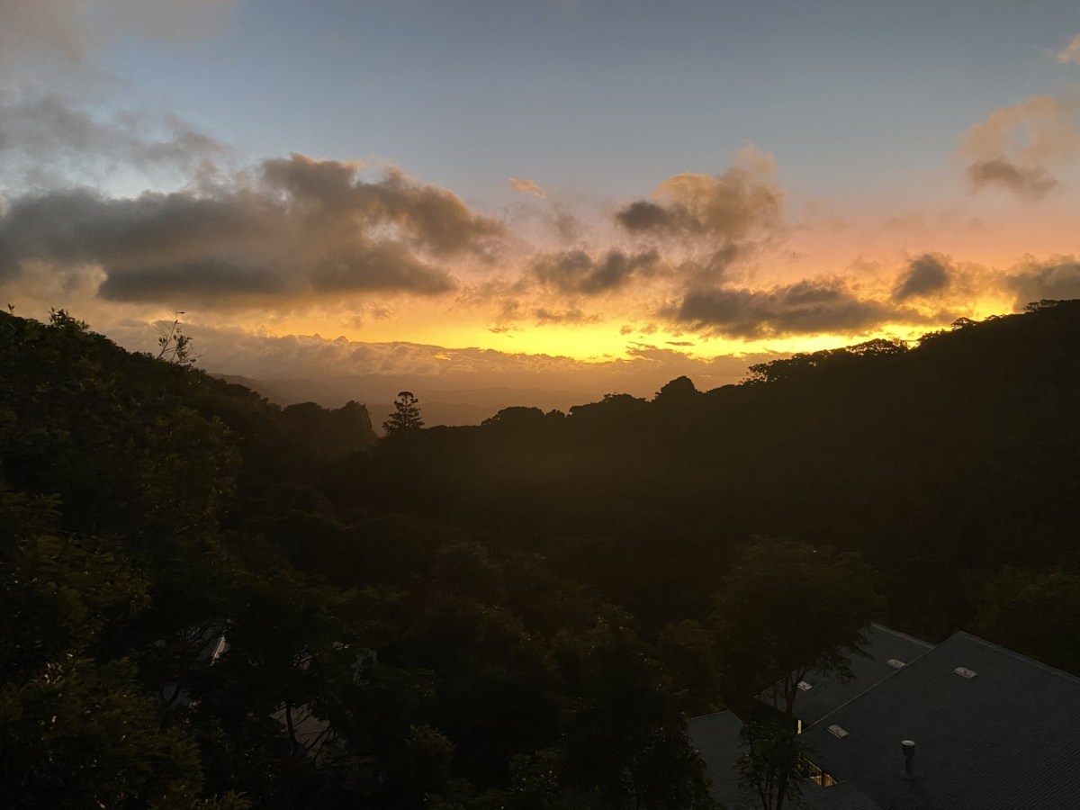 O’Reilly’s – Where Dreams Come&nbsp;True