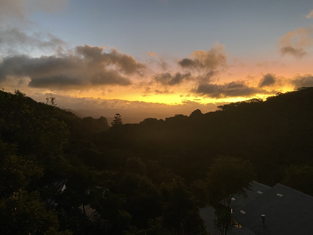 O’Reilly’s – Where Dreams Come&nbsp;True